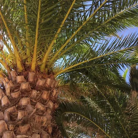 - Vue Imprenable, Piscine, Calme Διαμέρισμα *